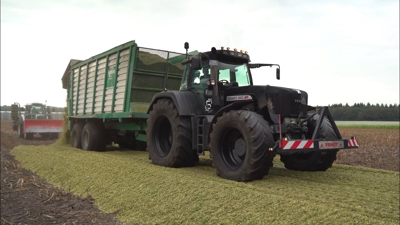 Claas Jaguar 990 & Fendt 930 und Fendt 920 Maishäckseln