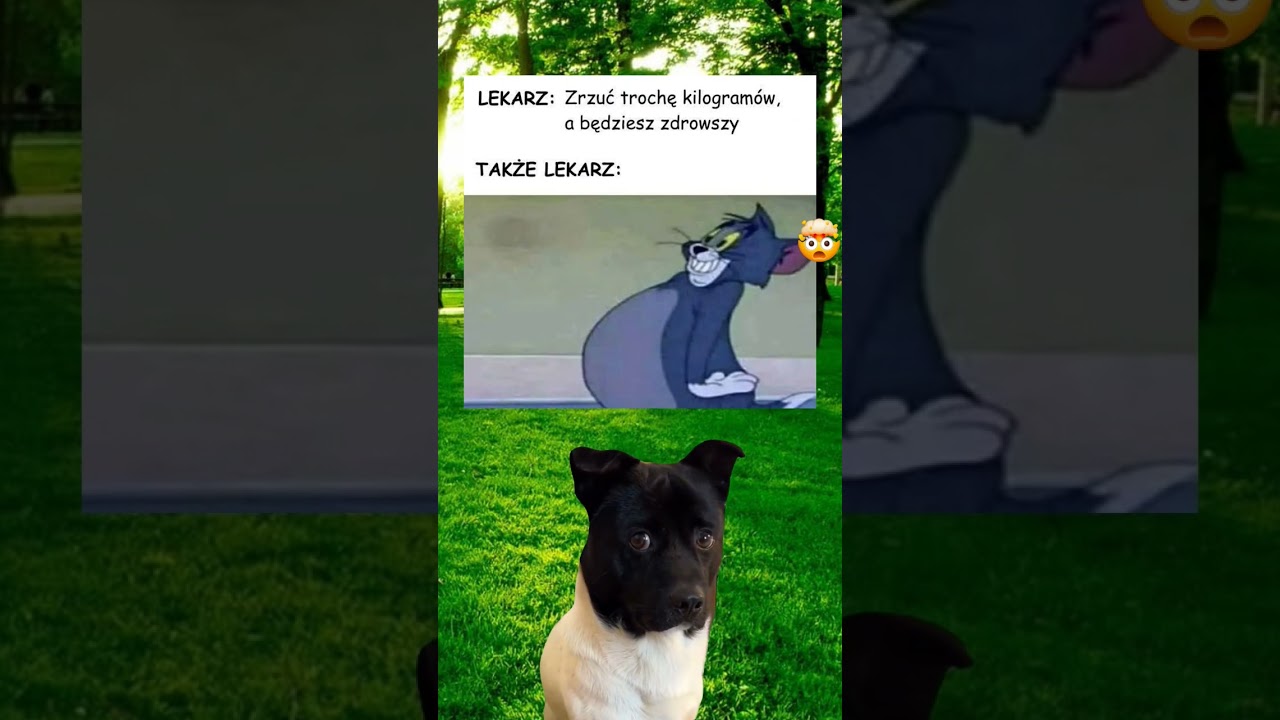 Cała prawda o radach lekarzy 👀 #shorts #meme #śmieszne #funny