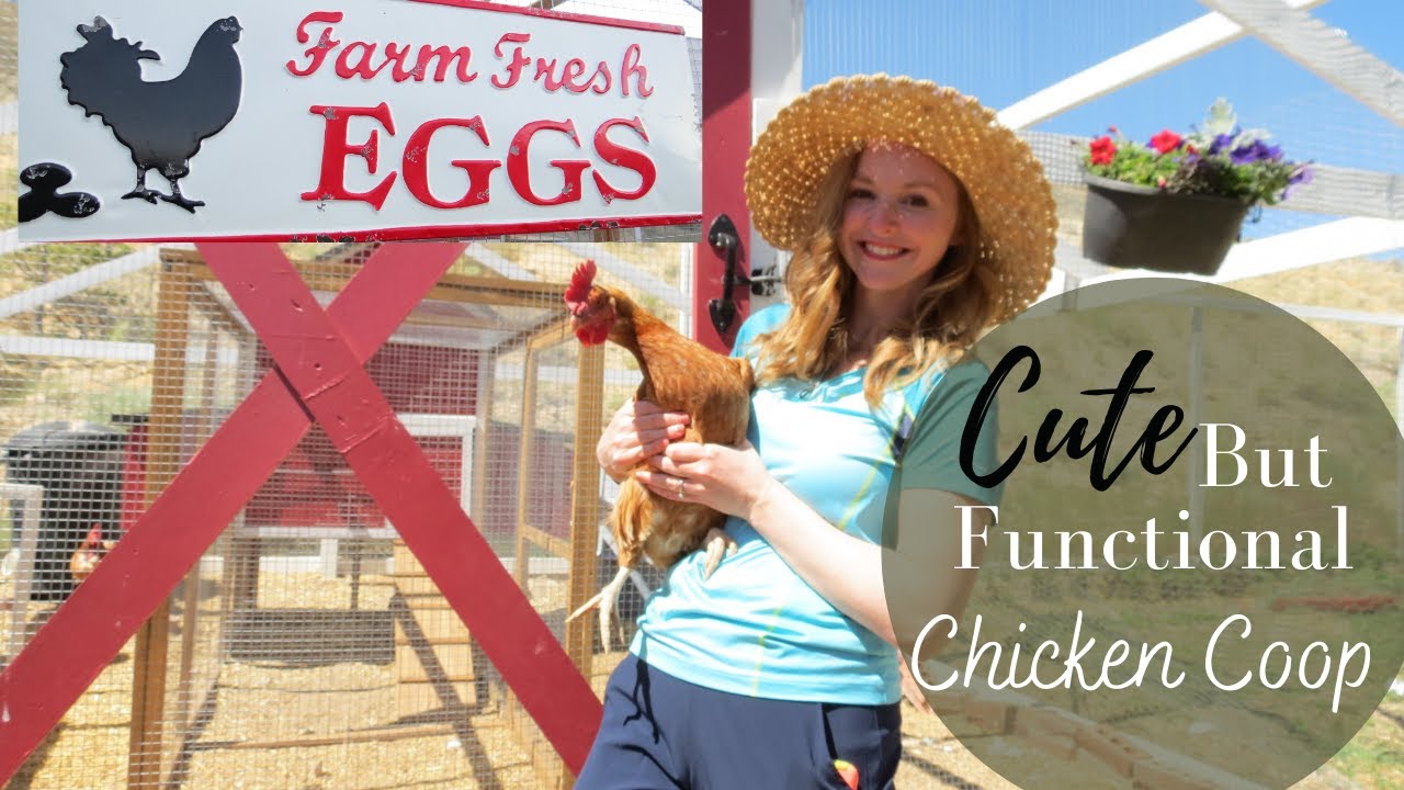 Summer Chicken Coop Ideas | Cute and Functional Chicken Coop Ideas| Backyard Chicken Coop