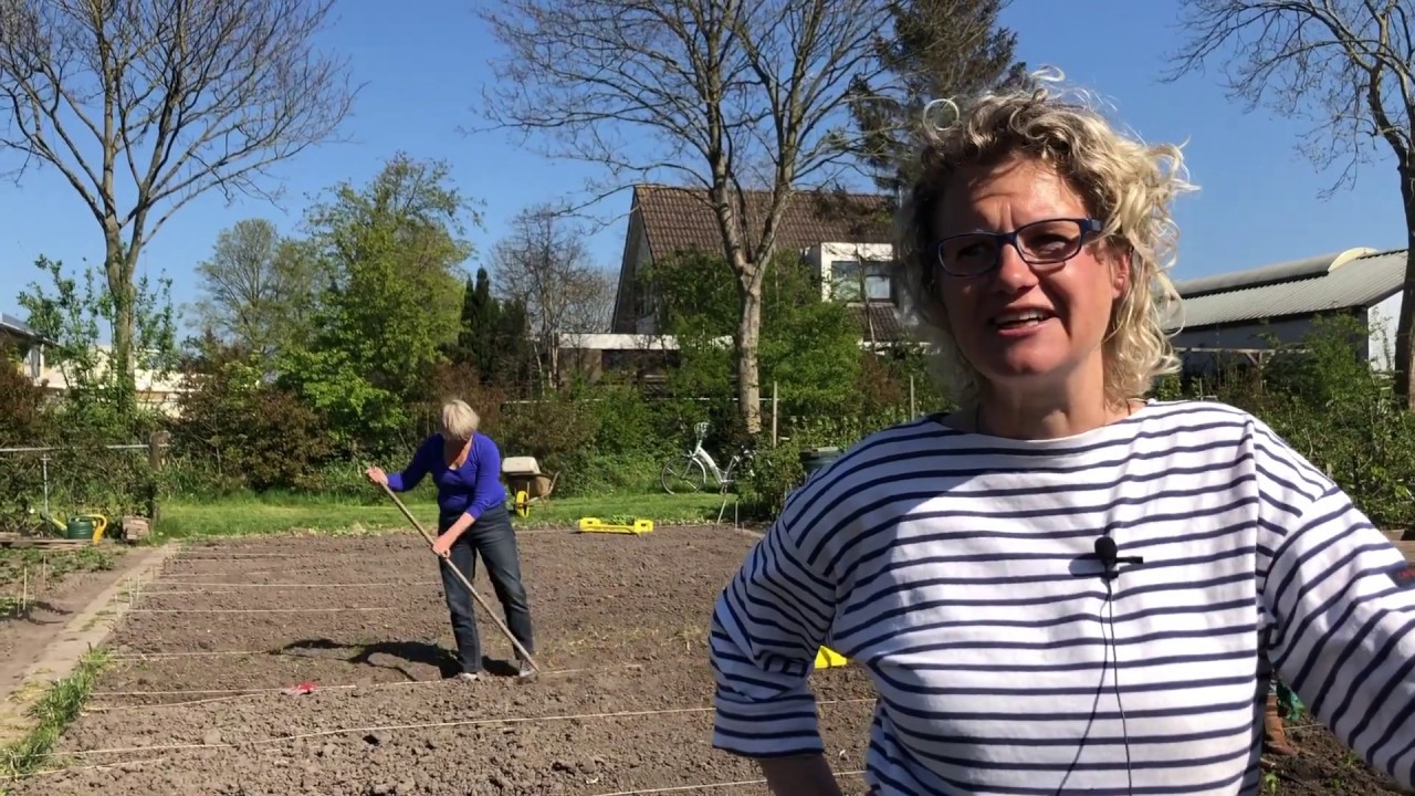 Gemeenschappelijke groentetuin in Heeg