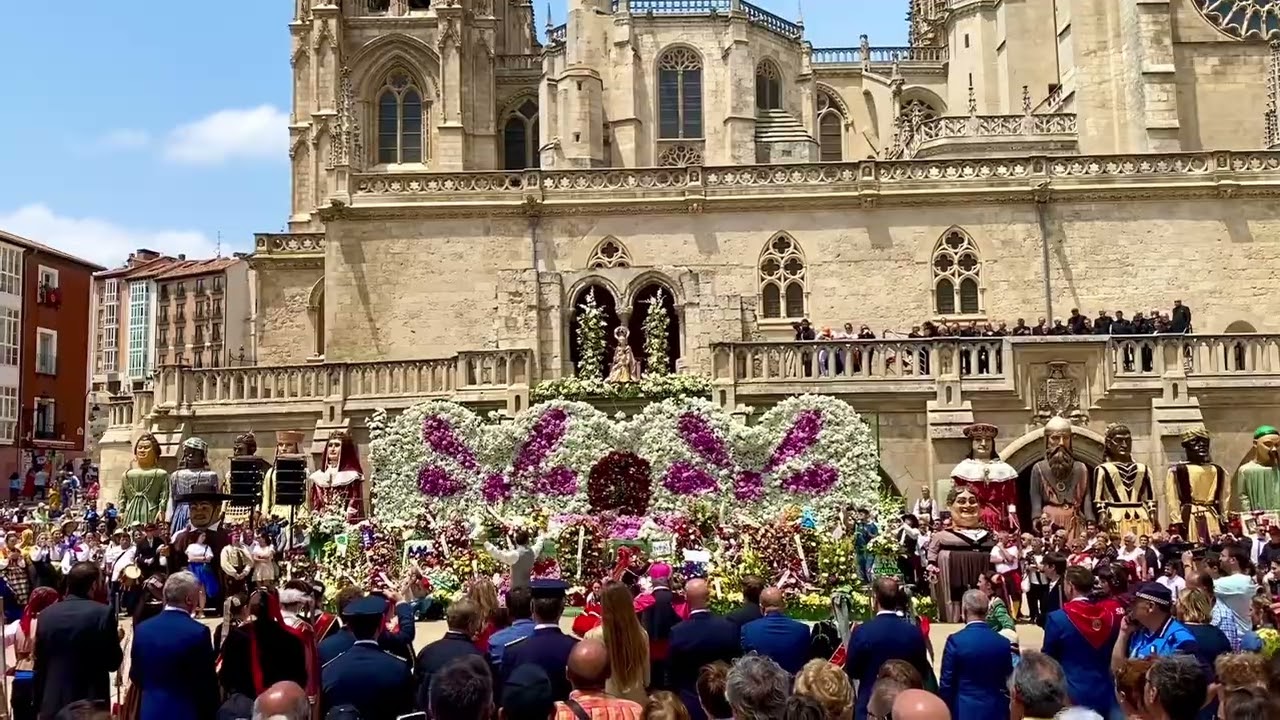 Impresionante Ofrenda Floral a Santa María Catedral Burgos San Pedro San Pablo 2023 Gigantillos Jota