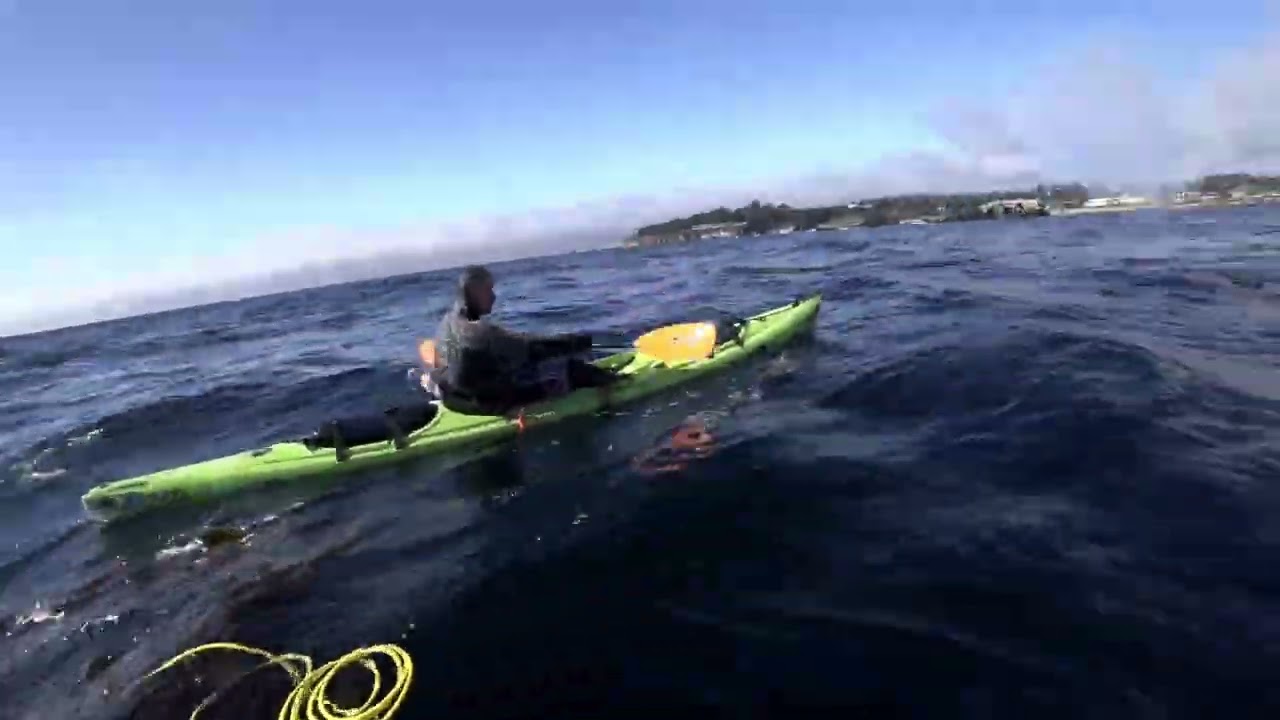 2025 Winter Spearfishing in California