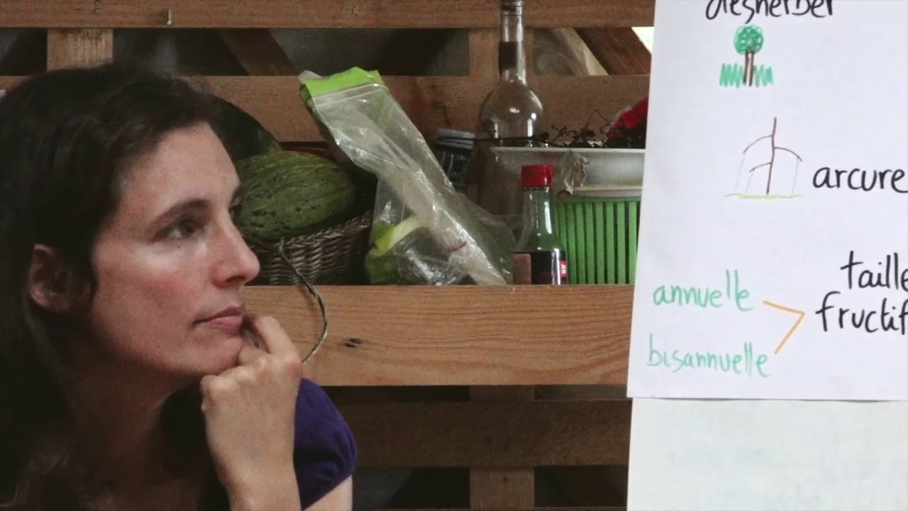 Vidéo 7/12 - Perma 2 - L'arboriculture en permaculture (formation permaculture à Can la Haut)