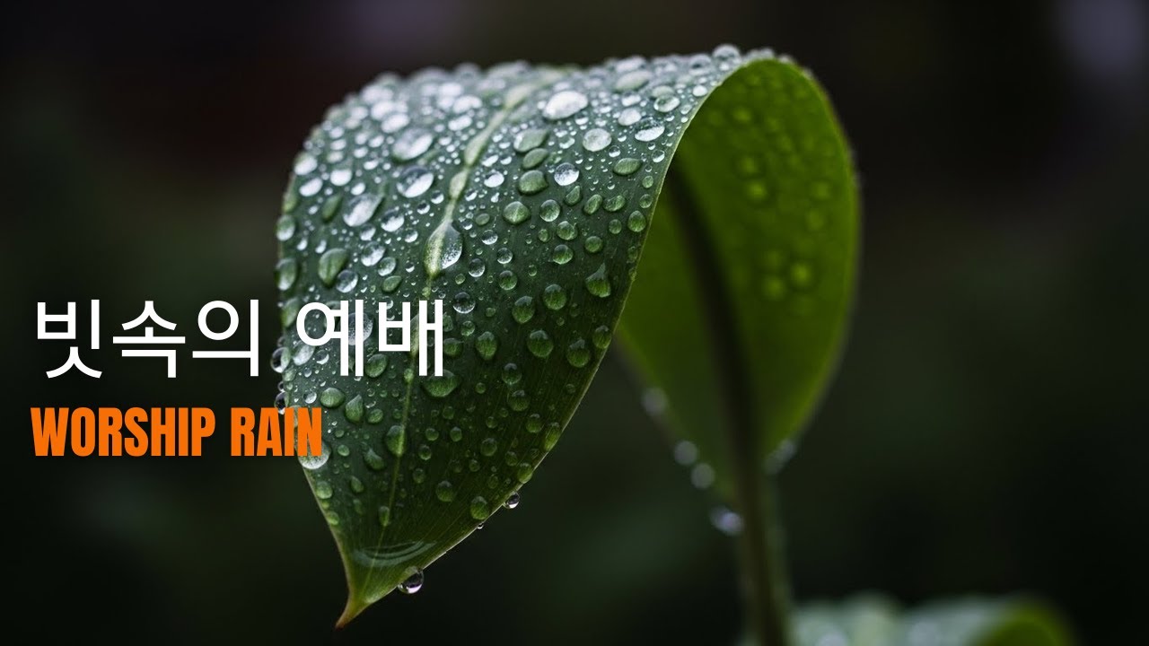 주님의 임재 가득한 빗소리 워십 피아노 기도 음악 | Presence Rain Worship