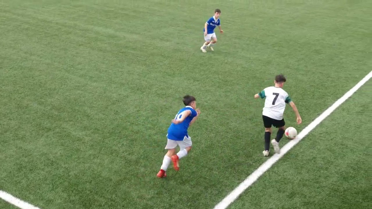 Ausonia vs Pavia