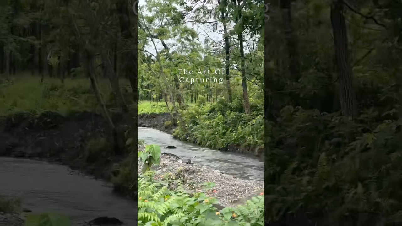 Capture everything while you travel #travel #travelcapture #moment #nature #peace #riverside