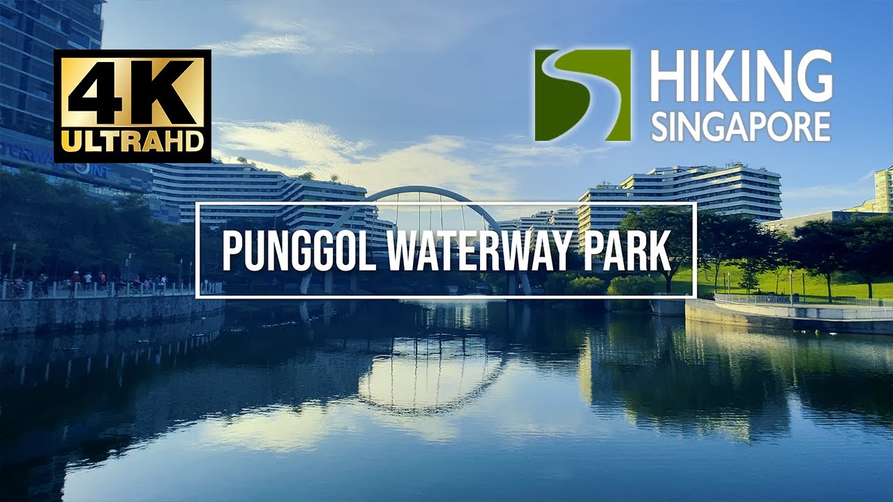 Punggol Waterway Park (6km, one and half hour walk)- Hiking Singapore [4K] [HDR]