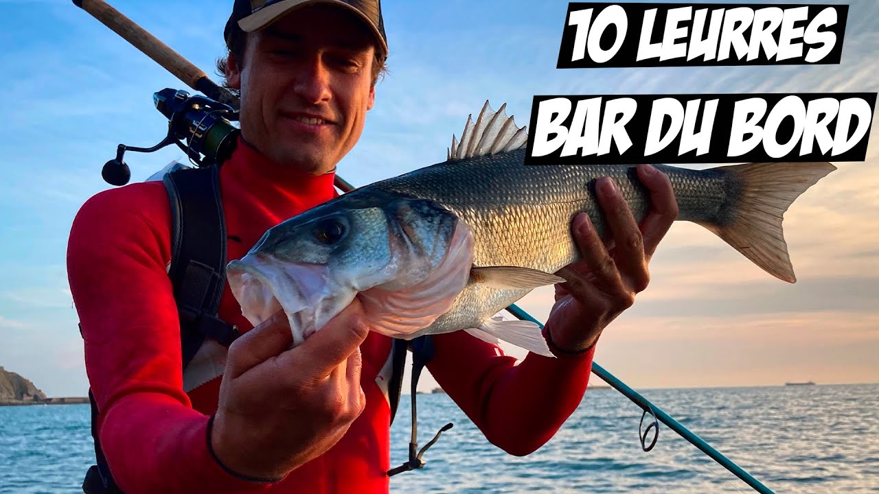 10 LEURRES POUR PÊCHER LE BAR DU BORD !!! Pêche du bar Côte d'Opale