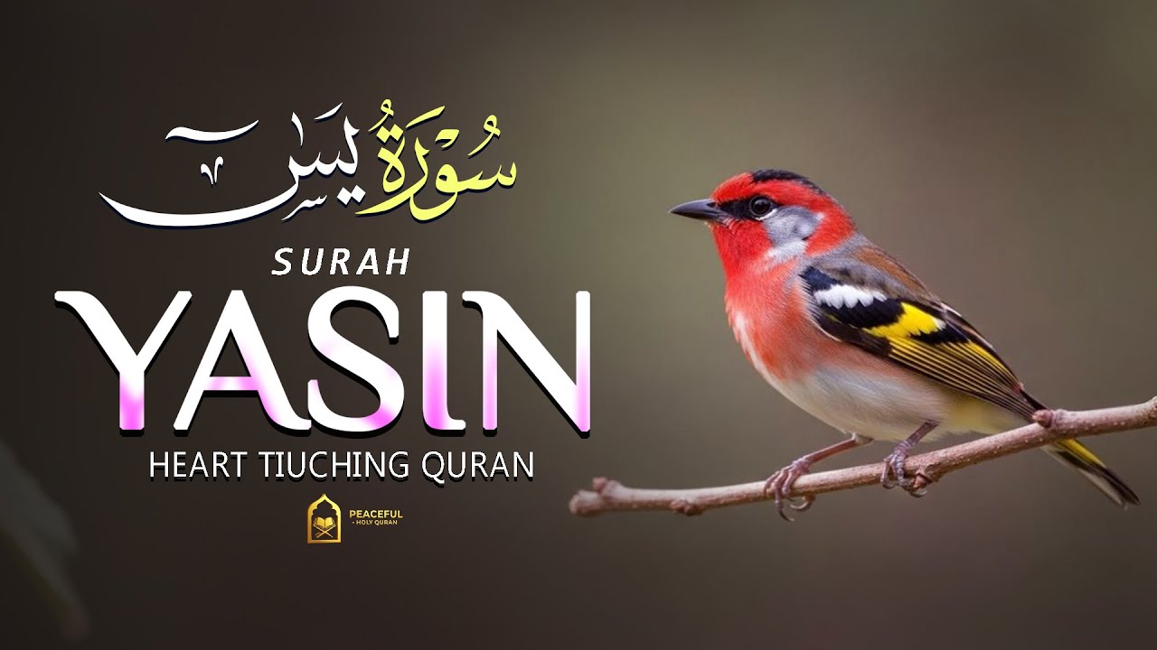 Beautiful Surah Yasin (سورة يس) Heart Touching Viral Recitation |By Alaa Aqel |Peaceful - Holy Quran