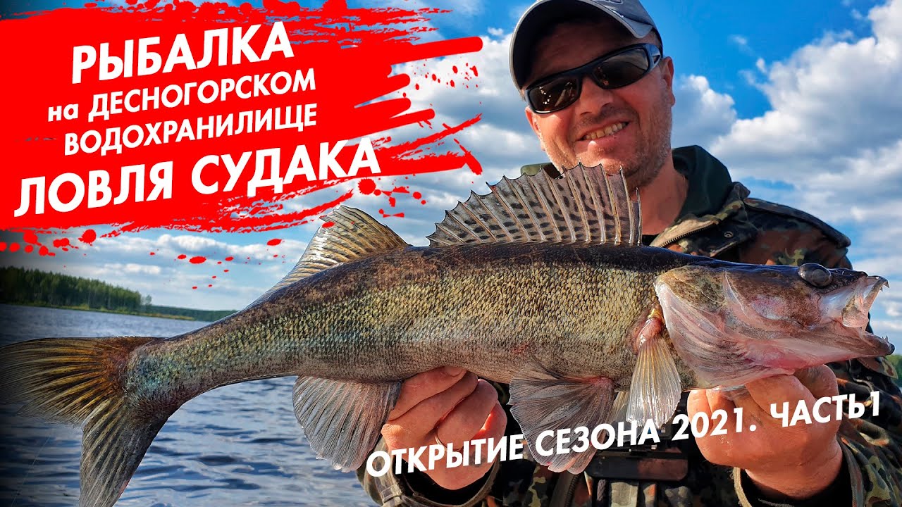 Рыбалка на Десногорском водохранилище. Открытие сезона 2021. Ловля судака. Часть 1