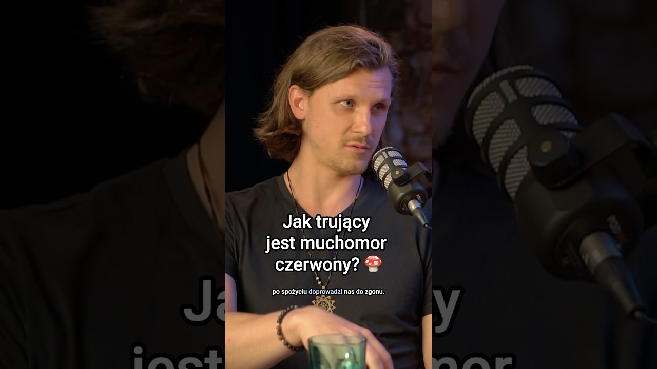 Muchomor czerwony - cała prawda 🍄 Ile było zatruć muchomorem przez 20 lat? Kuba Jezierski Mam Temat