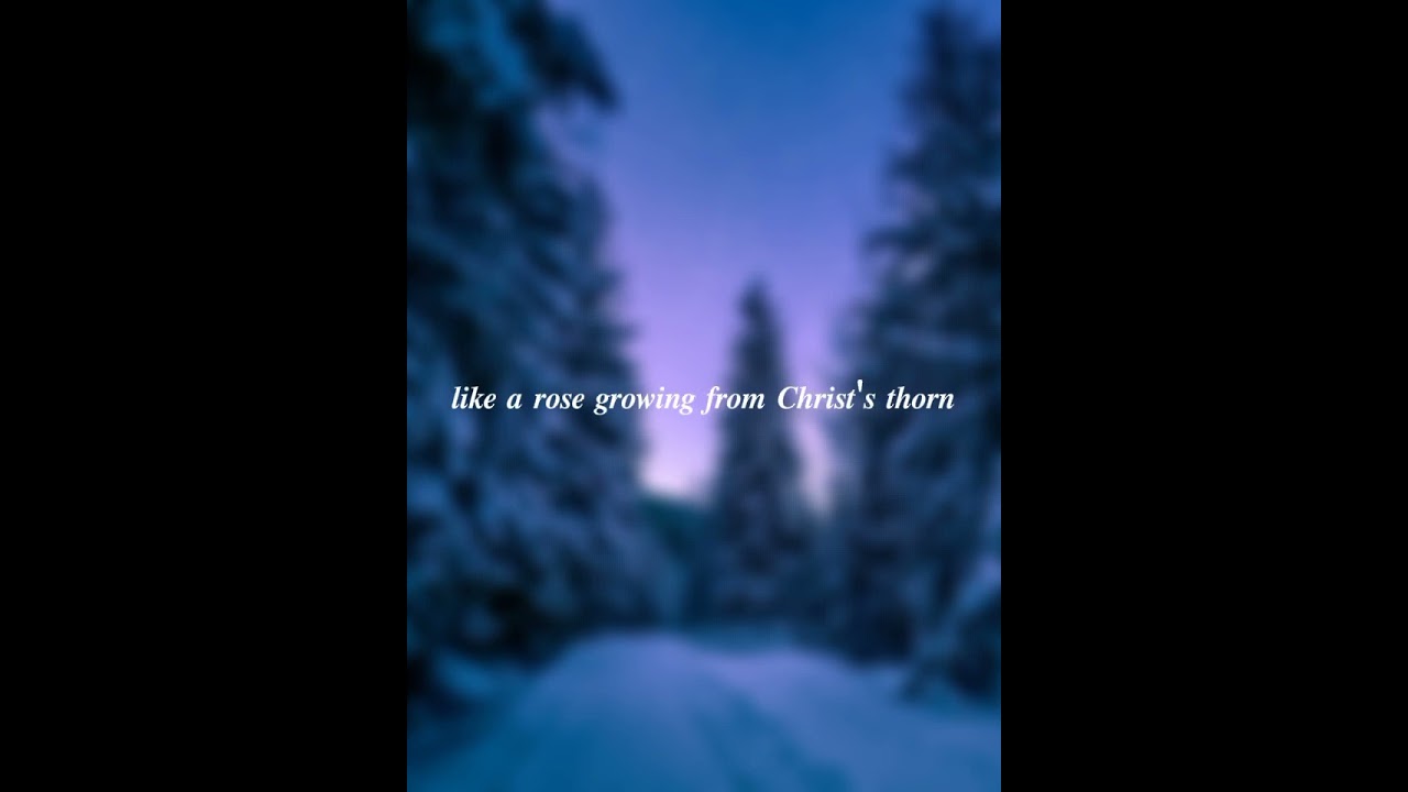 wasting the dawn the 69 eyes lyric video