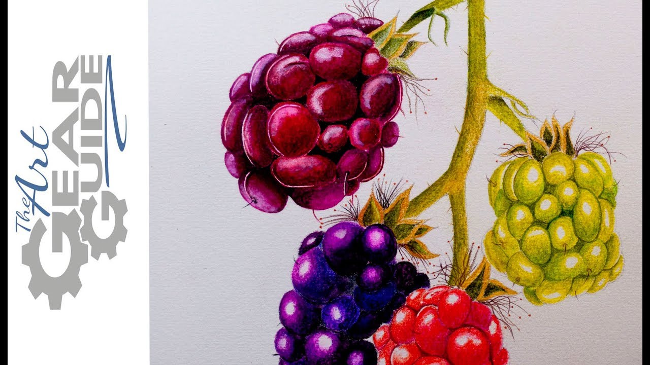 Arteza Watercolor Pencil Botanical Speed Drawing