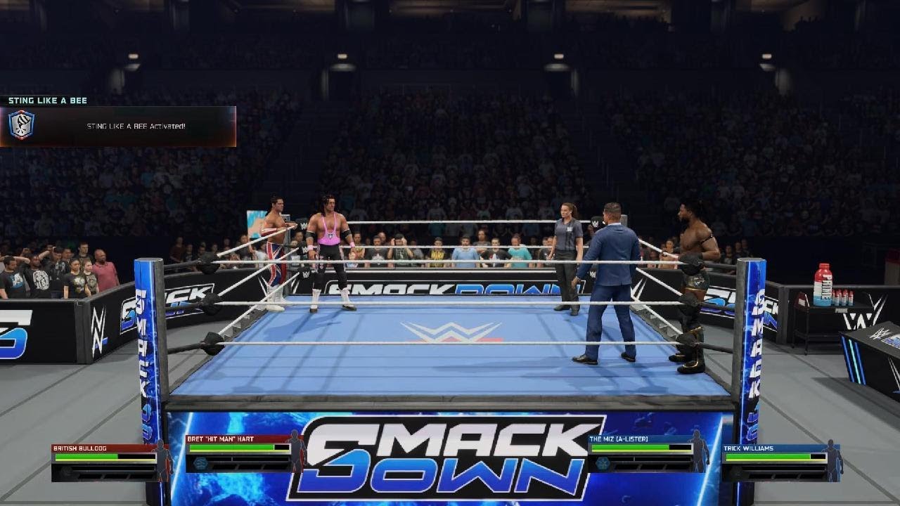 WWE 2K25 HEART FOUNDATION TAG-TEAM CHAOS