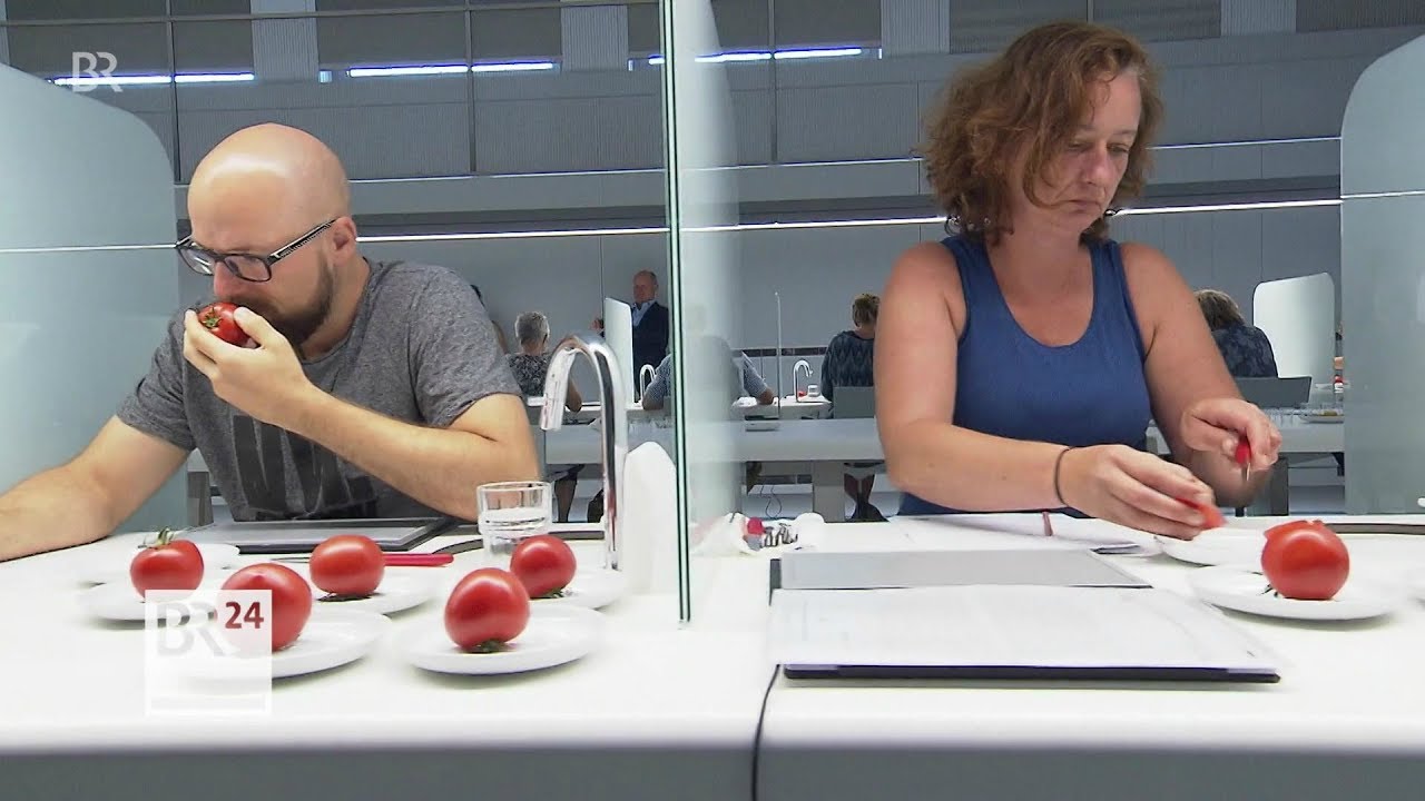 Verlorener Geschmack? Zu Besuch bei der Tomatenverkostung | BR24