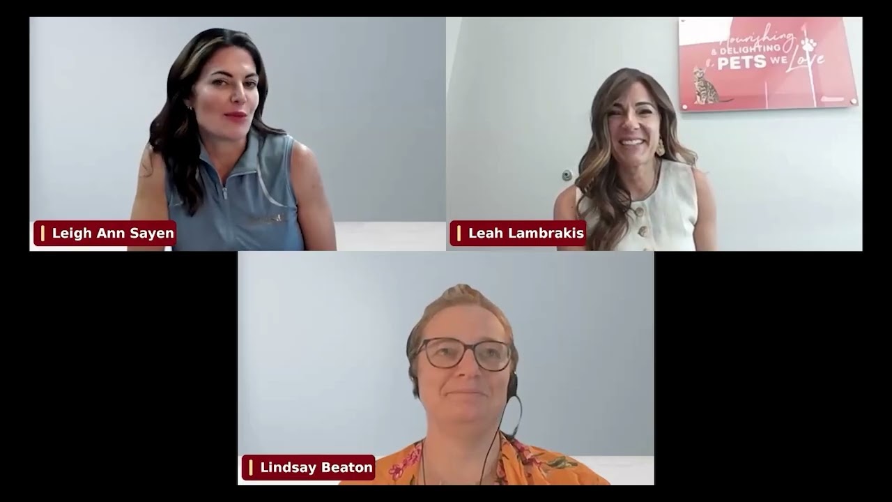 The Power of Mentorship II: How mentorship has shaped my career