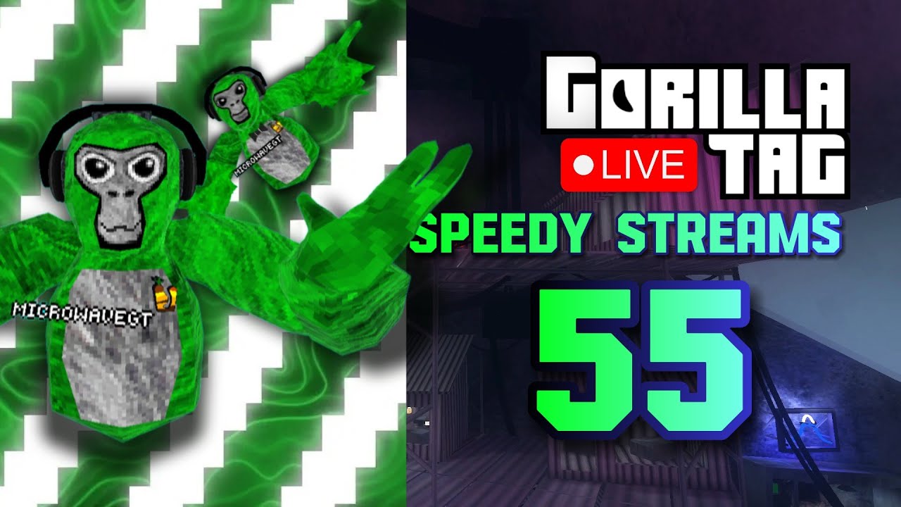 speedy streams 55 (GTAG LIVE STREAMS)