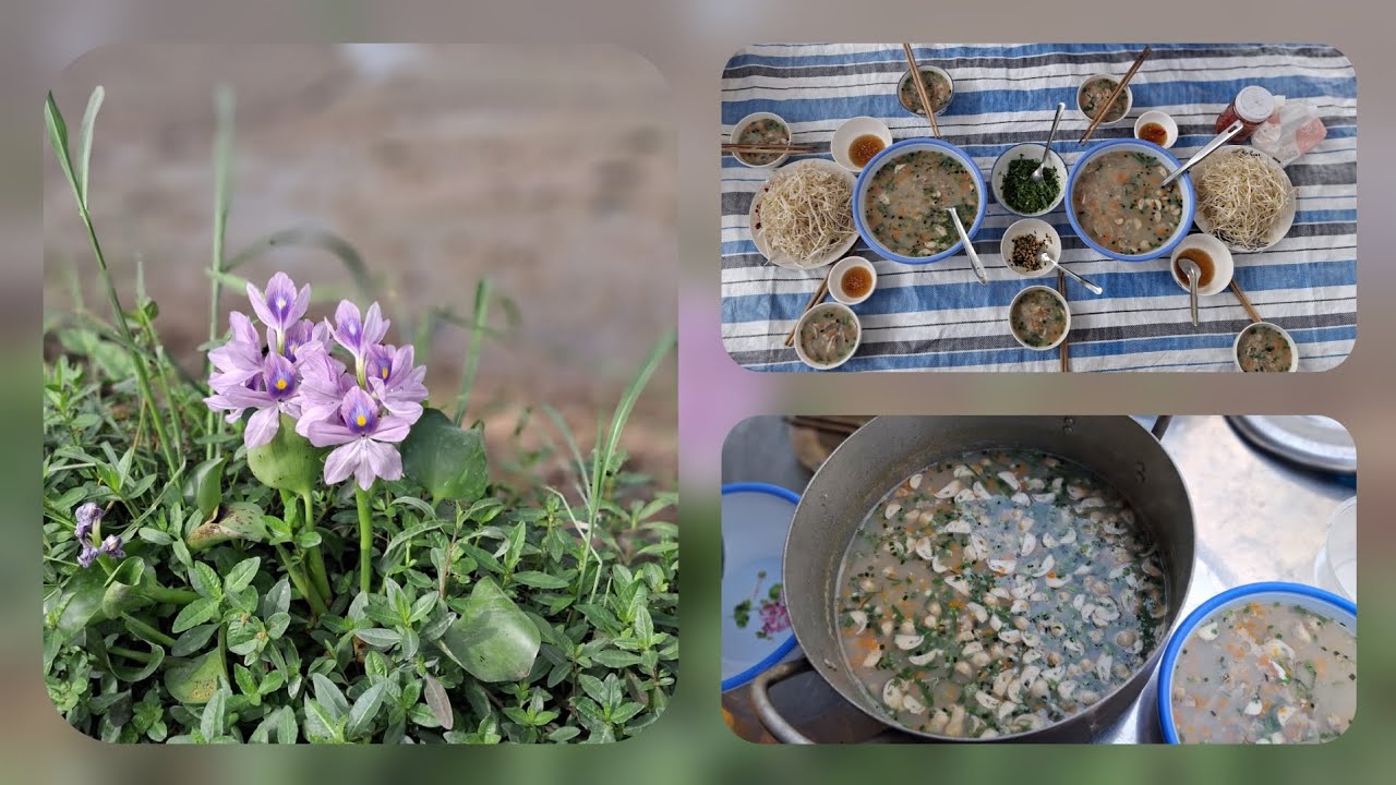 Bắt dẹm nấu cháo ăn ngon ngọt quá ông bà cô chú ơi