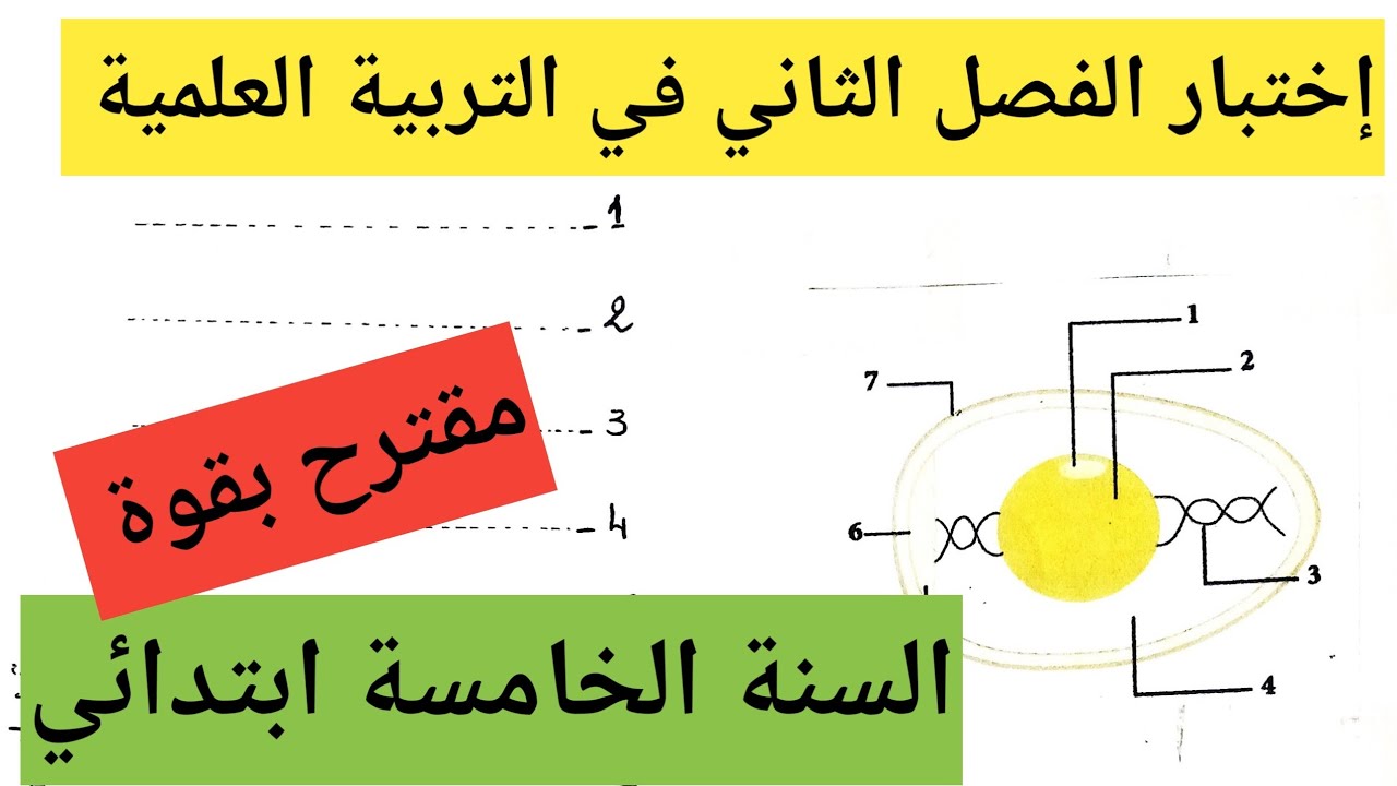 اختبار الفصل الثاني مقترح بقوة في التربية العلمية السنة الخامسة ابتدائي 