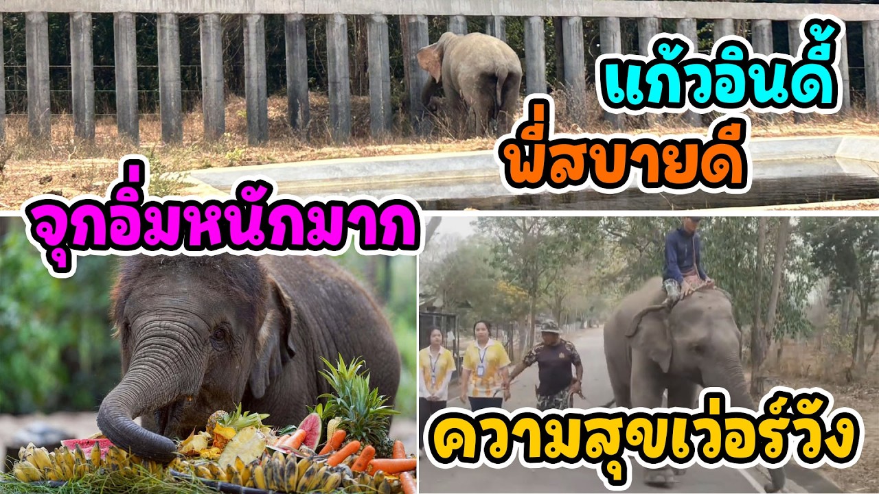 วันช้างไทยฉบับ 