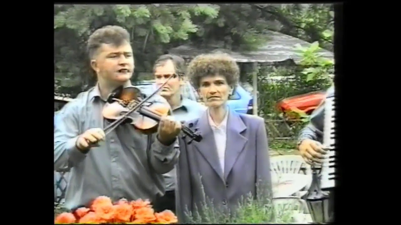 Salčine meraklije - Ružica procvala | 2001