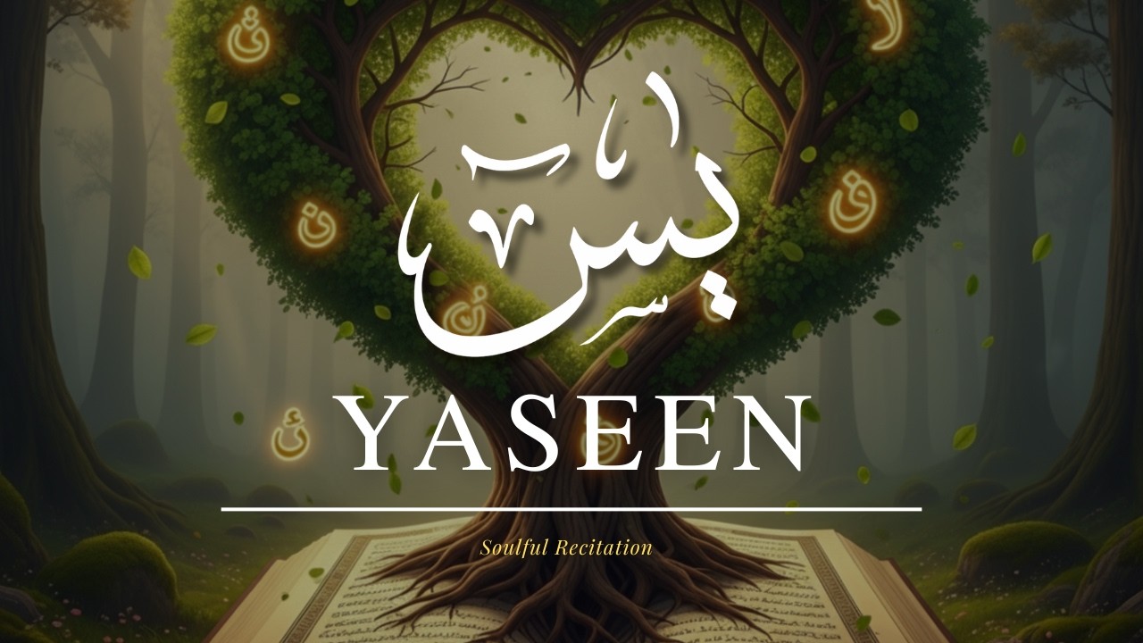 UNBELIEVABLY PEACEFUL! Relaxing Surah Yaseen Recitation That Calms the Soul