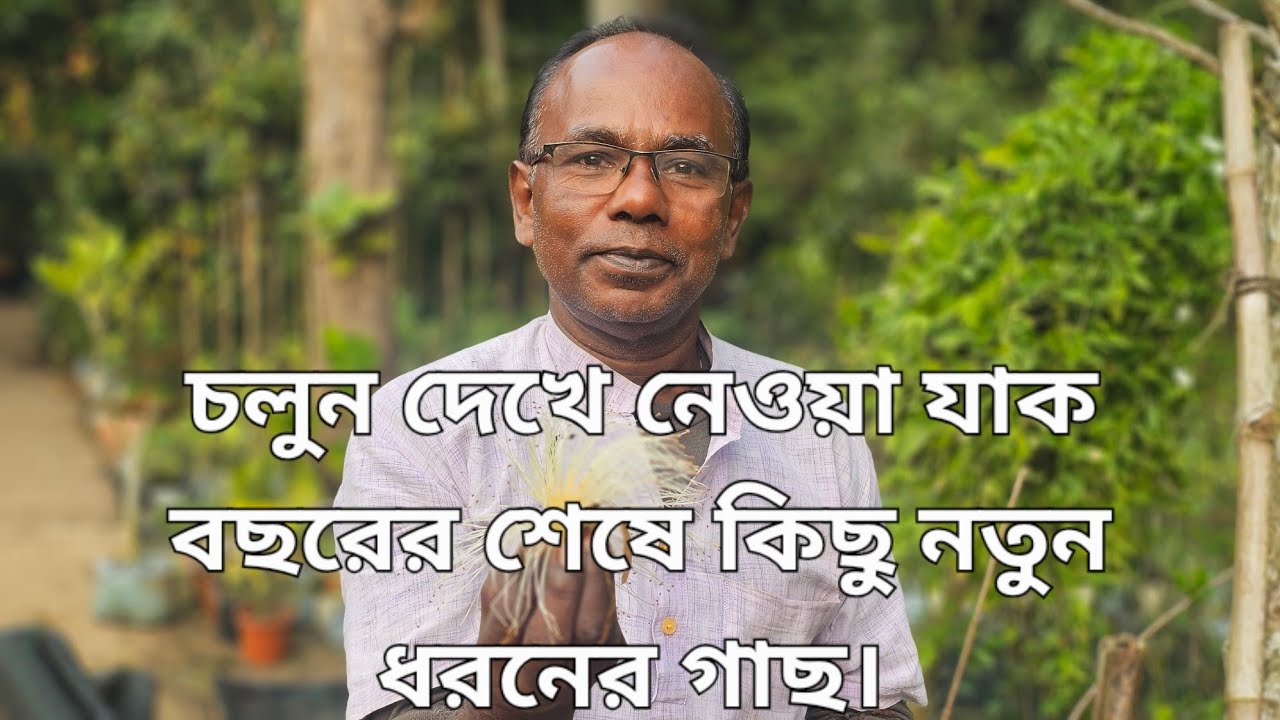 চলুন দেখে নেওয়া যাক বছরের শেষে কিছু নতুন ধরনের গাছ। 