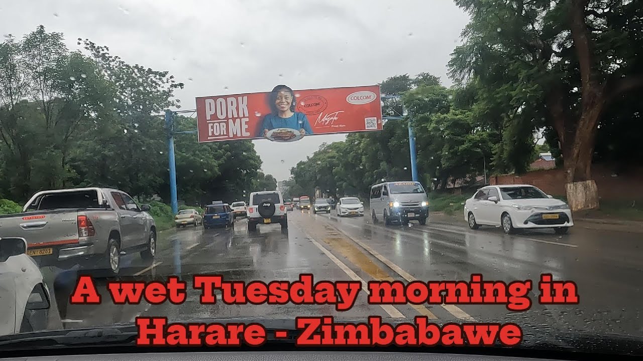 Zimbabwe is experiencing heavy rains like never before#zimbabwe #harare #africa #rain #season 