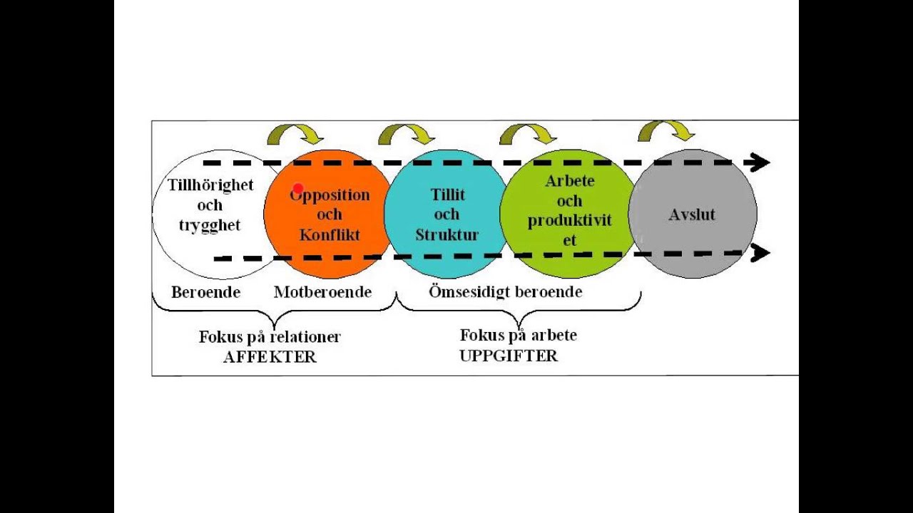 Susan Wheelan Grupputveckling