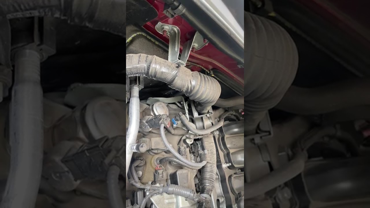 El Ruido que hacen las toyotas tacomas en el motor