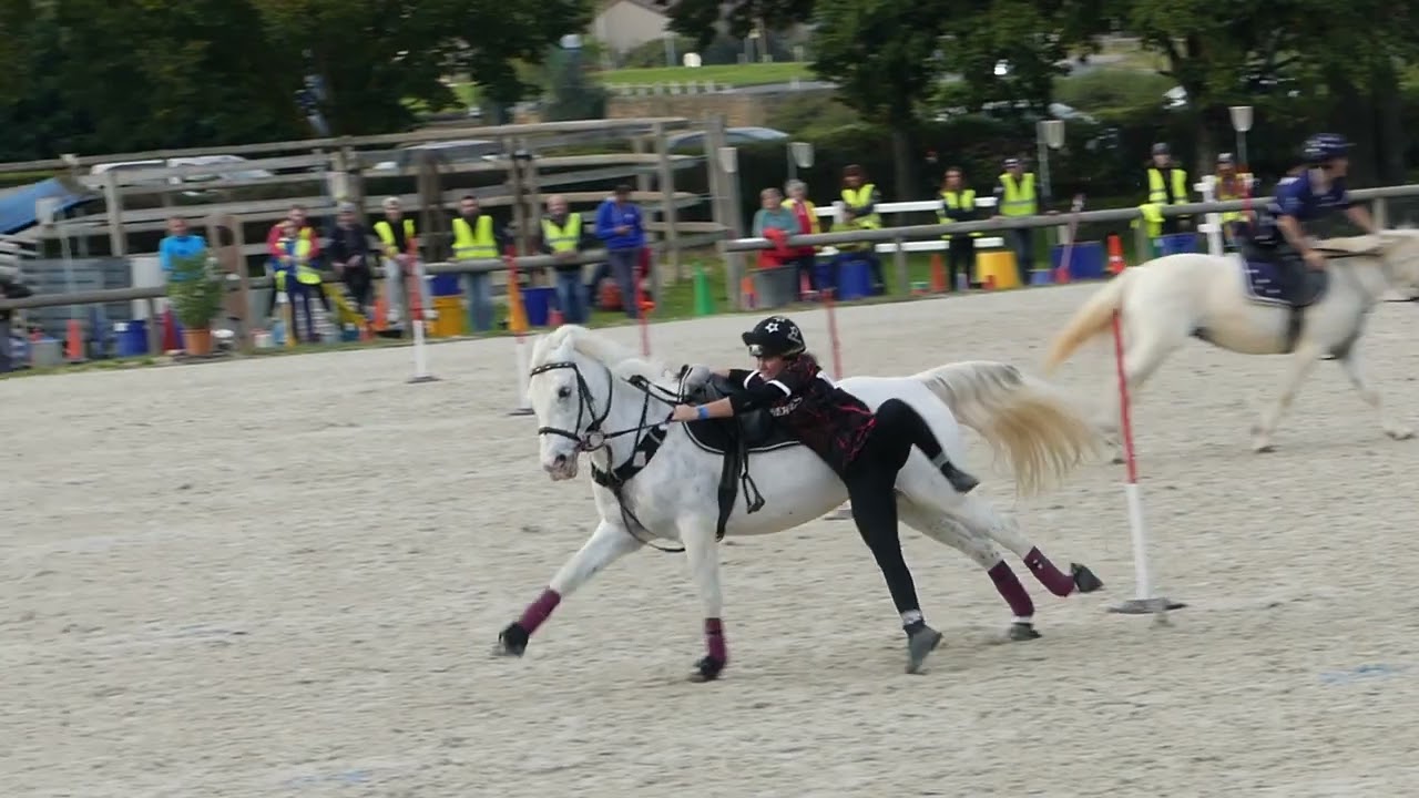 mounted games - best fails 2021/2022