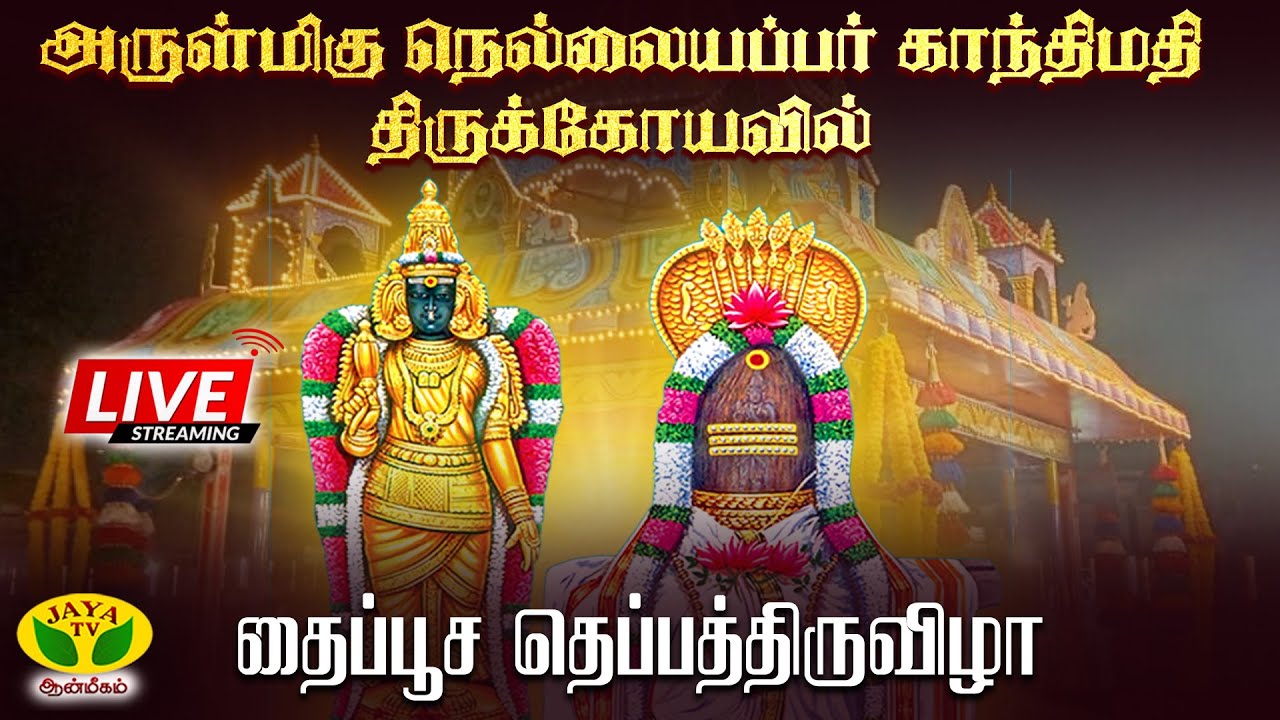 🔴 Live : தைப்பூச தெப்பத்திருவிழா | அருள்மிகு ஸ்ரீ நெல்லையப்பர் காந்திமதி அம்பாள் கோவில் | நெல்லை