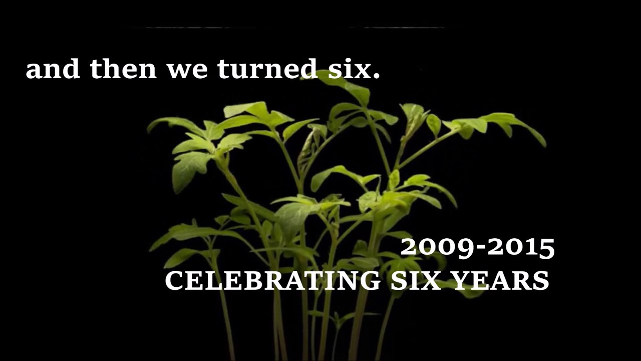 AND WE TURNED 6: CECED Sixth Anniversary Celebration Video