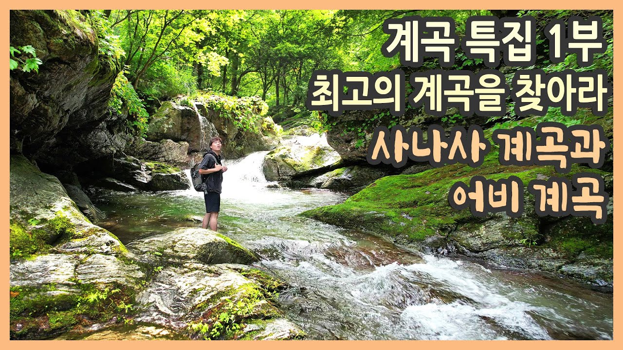 계곡 여행 특집 1부 / 최고의 계곡을 찾아라 / 사나사 계곡, 어비 계곡 / 경기도 계곡, 계곡 여행 추천, 국내여행, 경기도여행, 국내여행지추천