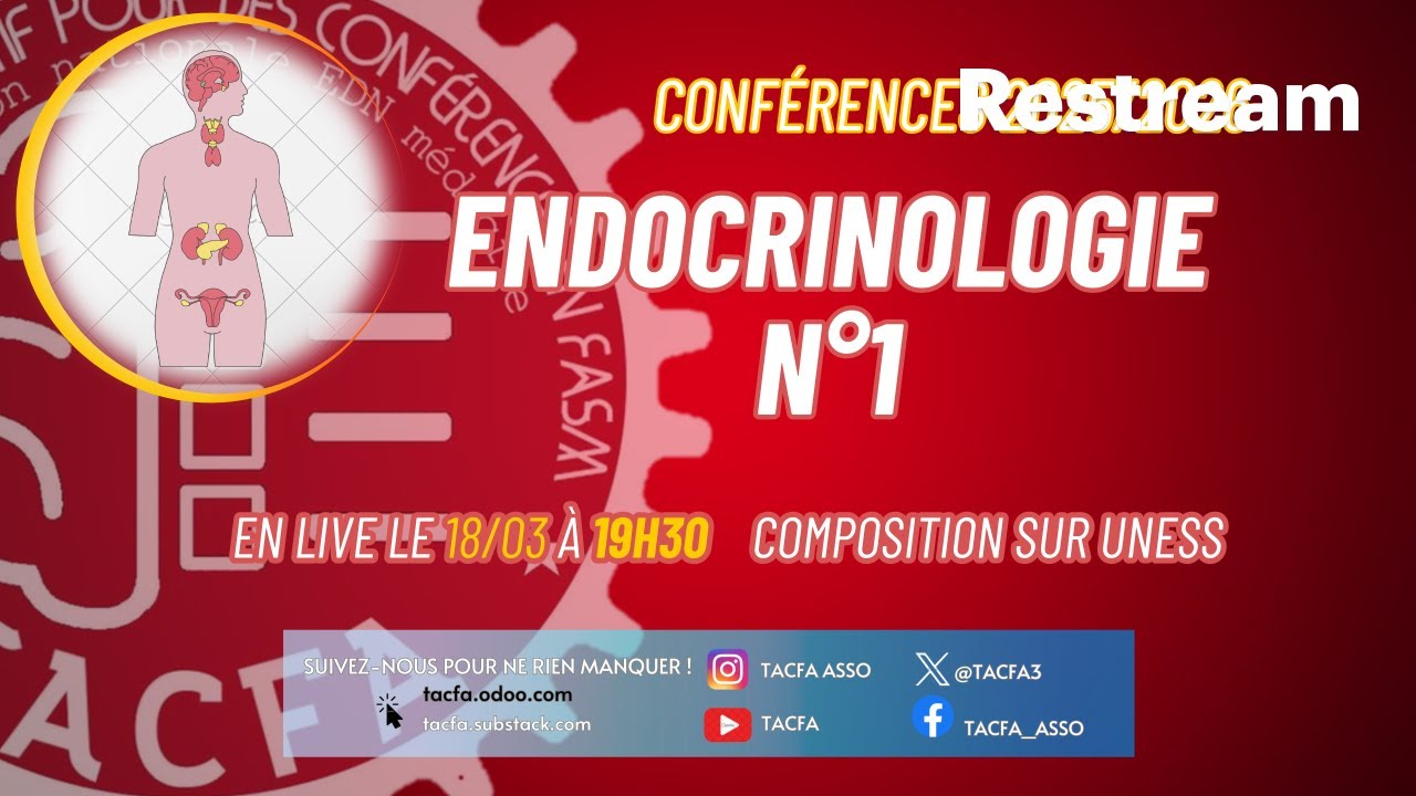 [TACFA EDN médecine 25/26] Conférence 13 : Endocrinologie n°1