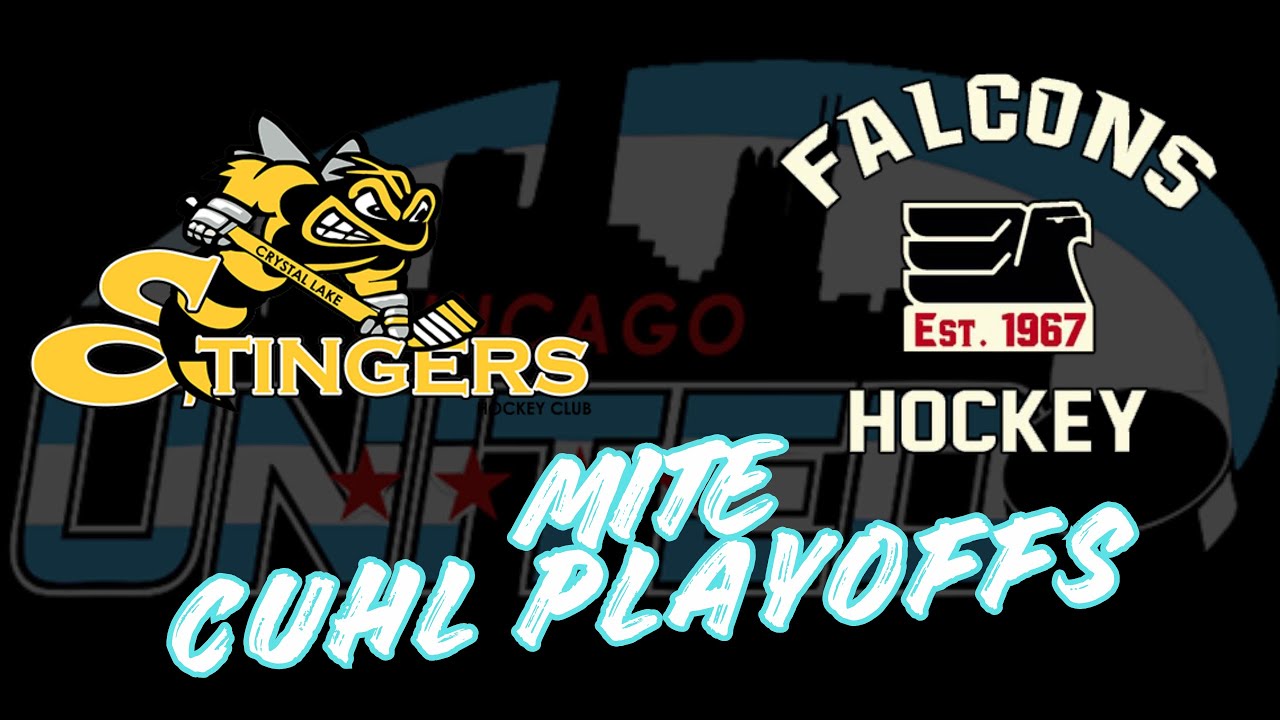 U8 Stingers vs Falcons Mite CUHL League Playoffs