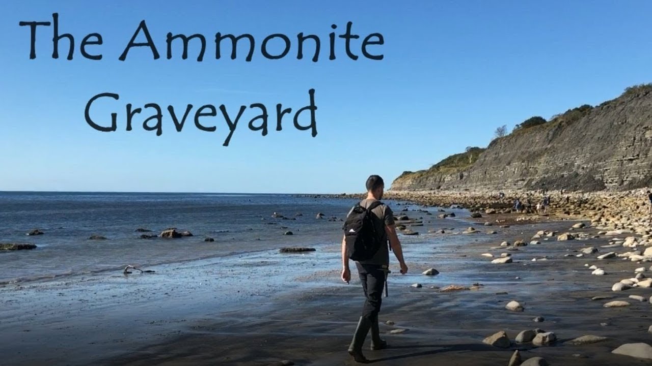 The Ammonite Graveyard
