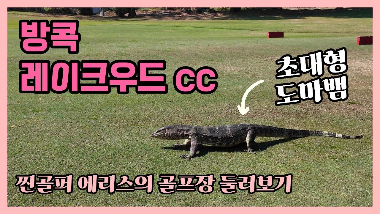 [Golf V-log] 방콕 레이크우드cc