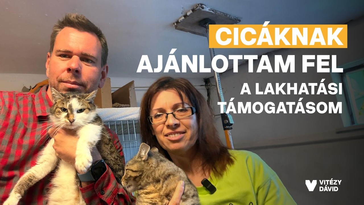 A LAJKA ÁLLATVÉDŐ ALAPÍTVÁNYNÁL JÁRTAM