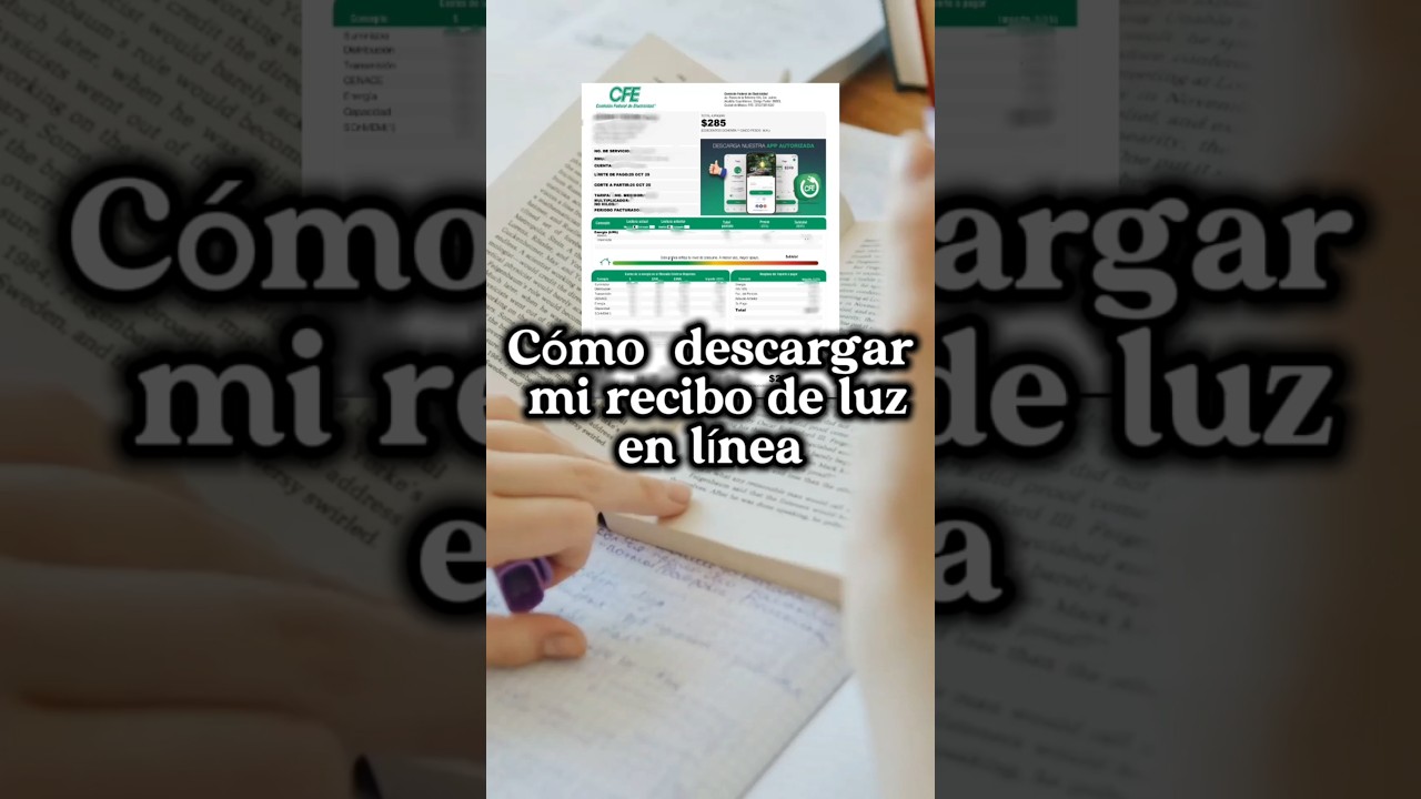 C&oacute;mo descargar mi recibo de luz en l&iacute;nea f&aacute;cil y r&aacute;pido