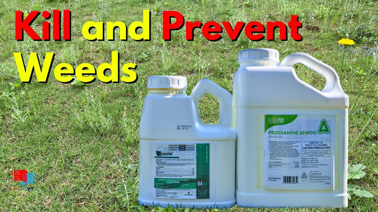 How to Kill and Prevent Weeds in Your Lawn