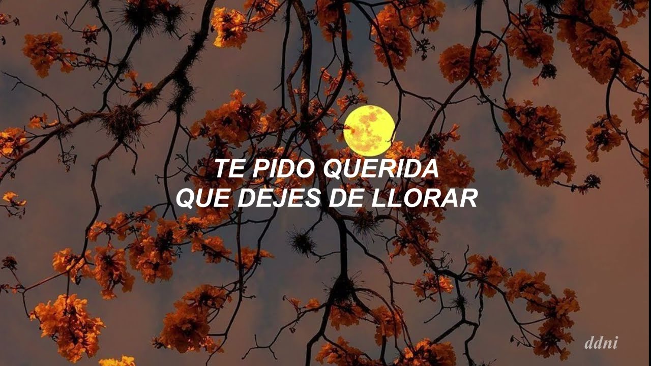 Marcos Menchaca-5 Días// Letra