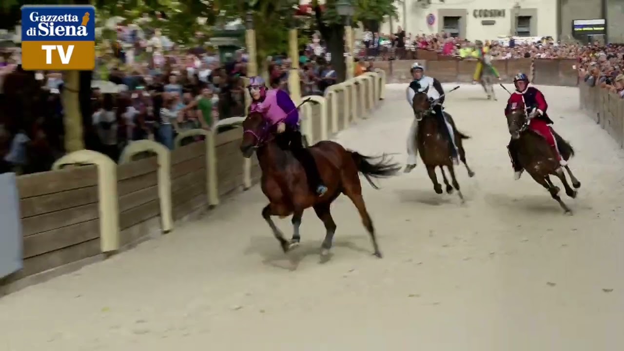 Palio di Castel del Piano 2024