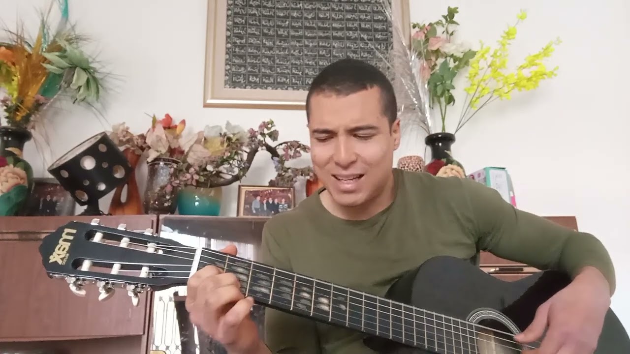 Onde Anda Você - Vinícius de Moraes & Toquinho - (1972) 🇧🇷 (Cover)