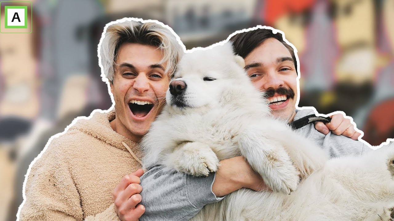 MAN VS DOG! Victor og Chris konkurrerer mot en hund!