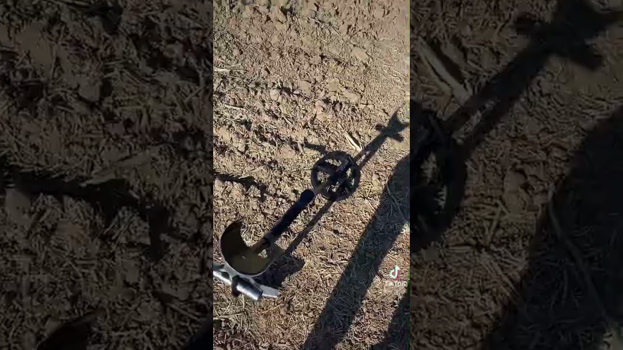 Detectorist rally🔥 