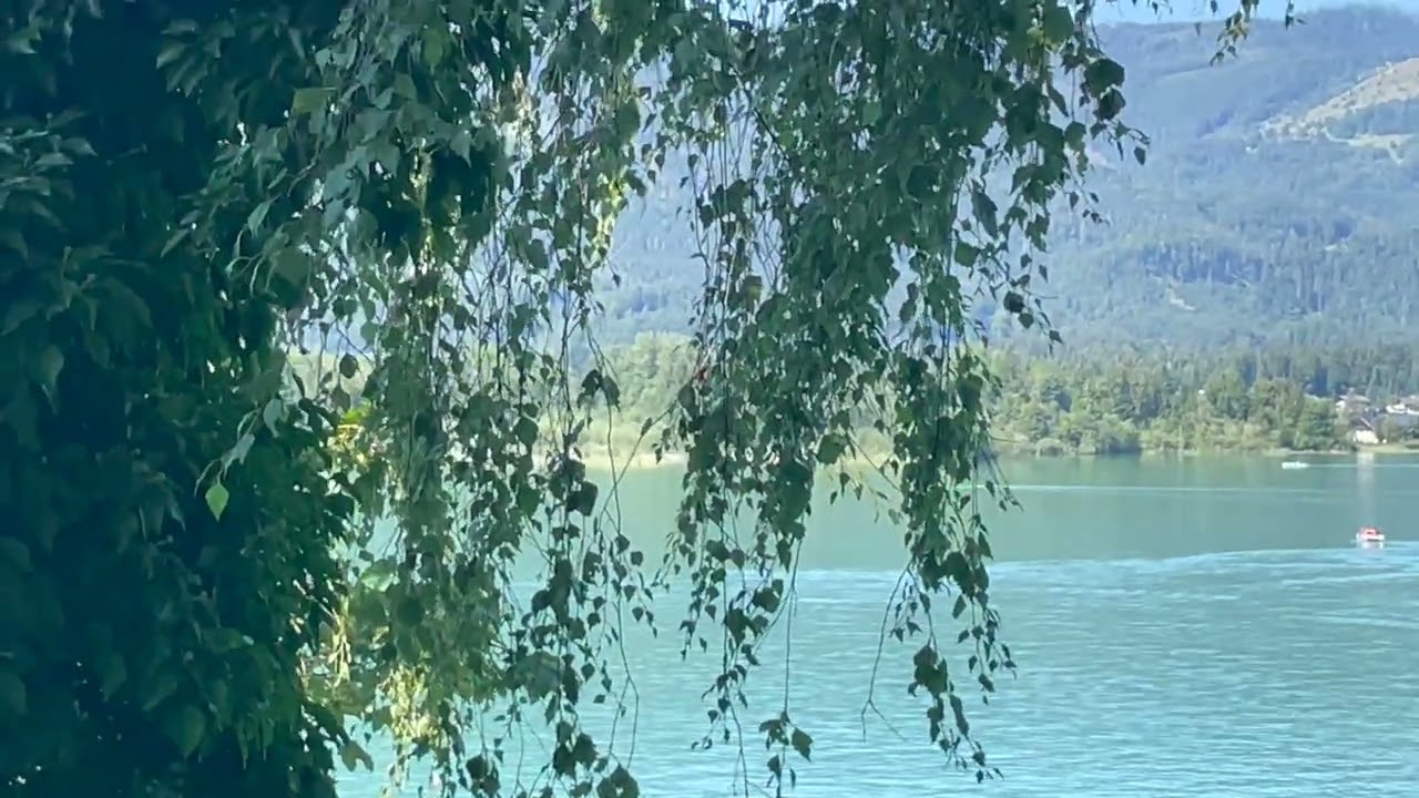 2023 WOLFGANG LAKE WITH GATE 1