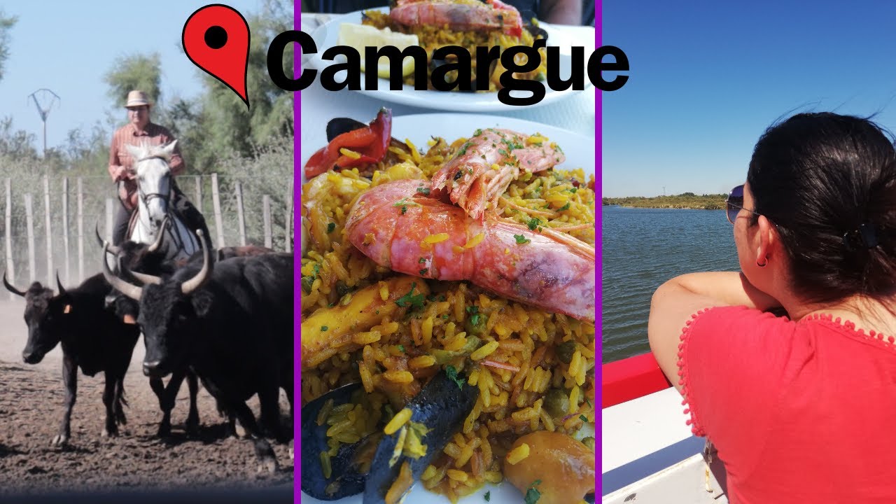 CAMARGUE dalla terra e dal mare con cena spagnola - EP 6