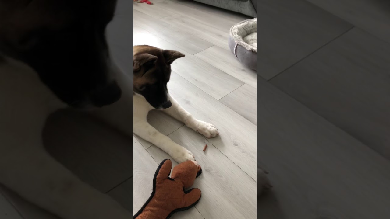 Leave it !