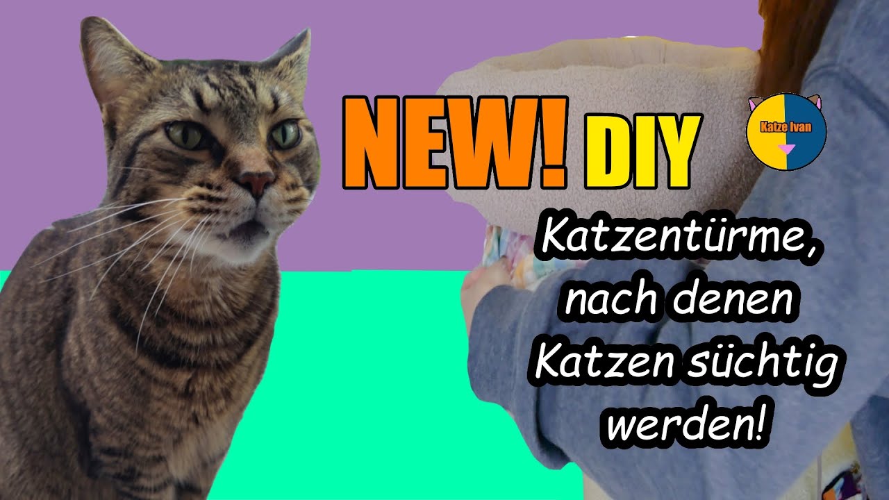 NEW!  Katzentürme, nach denen Katzen süchtig werden! (Teil2) #cat #diy #cattower